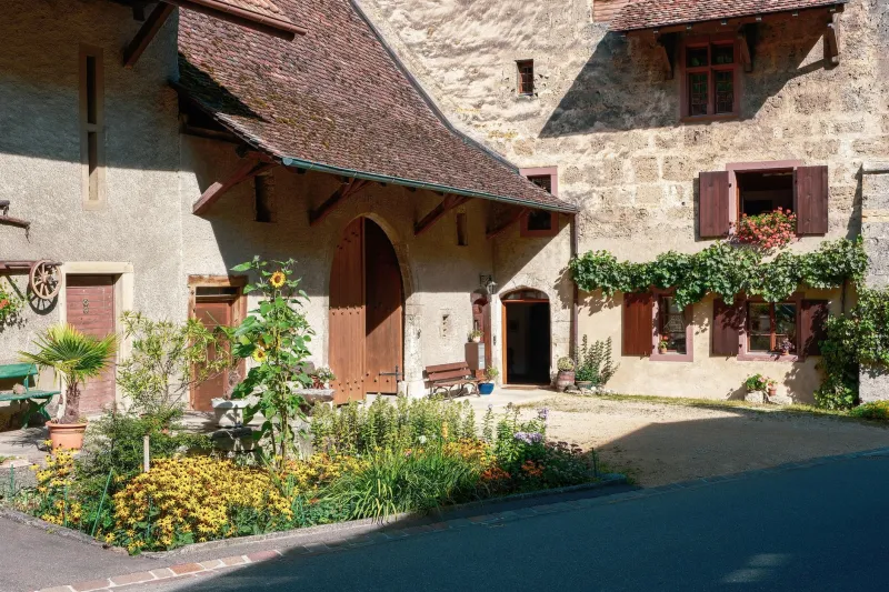 Pierre, potager et grand air : comprendre l'obsession française pour la maison de campagne